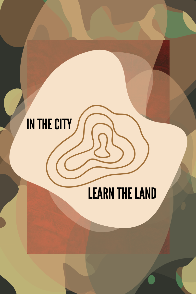 In the city, Learn the land